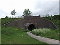 Aqueduct on the Anson Branch Canal