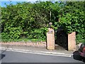 Over grown former entrance to Mills Grammar School