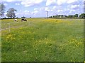 Lower Farm, Stoke Common