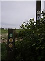 Footpath signs near Evershot