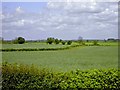 Fields between Puxley and Deanshanger