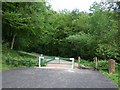 Llwyn Hir Forestry Walk - Entrance