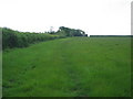 Field, hedge and woodland next to Murtlands Farm