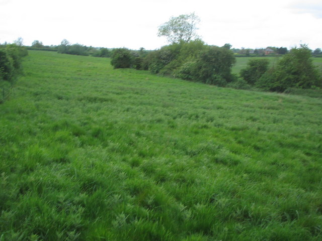 Meadow, stream boundary and Cranfield Road ahead