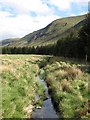 Ditch, Glen Clova