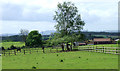 Paddocks by Iverley House Farm, Staffordshire