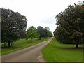 SP7049 : Hulcote-Easton Neston Park by Ian Rob