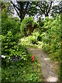 SD4161 : The Glebe Garden, Heysham by Humphrey Bolton
