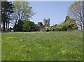 Approaching Buckland Dinham