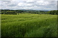 Farmland near Kington