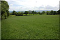 Farmland near Bollingham