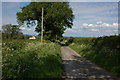 Lane near Holme Marsh