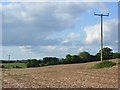 Farmland, Northington