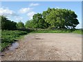 Coed y Wenallt Forestry Walk - Car Park