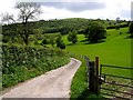 The Track to Penhenllan