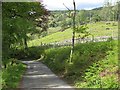 Estate road, Dungarthill