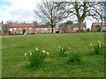 Village Green, Maunby