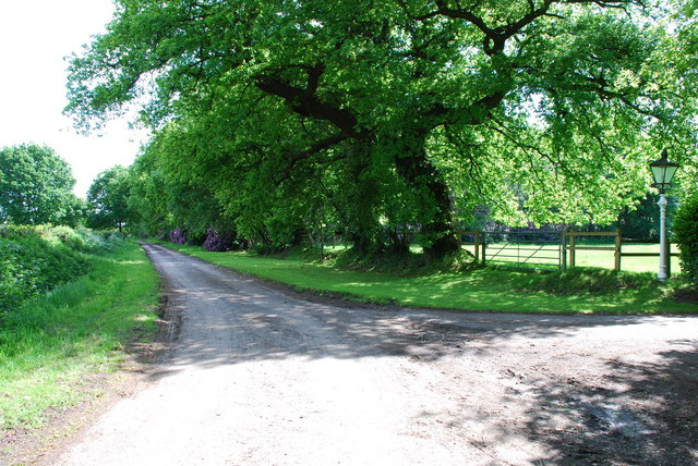 Lane near Jones's Wood Withington