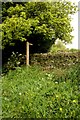 Footpath sign and stile, Hartwith Bank