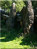SE1778 : Druids Temple, near Ilton by Chris Gunns