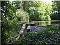 Pond at Bucksburn House