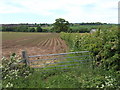 Potato field by the B4373