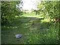 Disused pit, Hempton