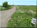 Track to Grove Farm