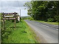 Road near Learmount Forest