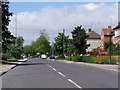 View of Dale Lane