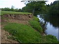 Landslip on River Ure near Masham