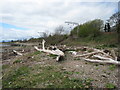 Foreshore at Ardoch