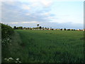 Old MOD Buildings at Upper Heyford