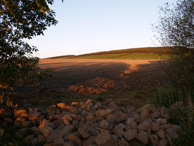 Farmland at Fairley