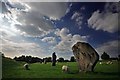 Avebury Ring