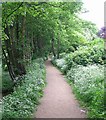 Footpath alongside disused Railway - South Parade