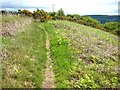 Path at the top of Redgate Hill