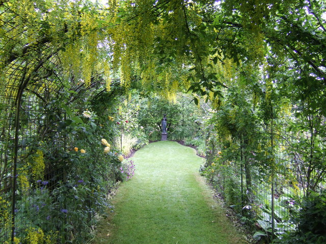 Laburnum arch at Coolaught Nursery... © Jonathan Billinger cc-by-sa/2.0 ...