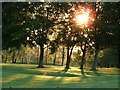 Evening Sun on Delapre Golf Course