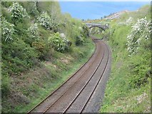 J0613 : Dublin to Belfast railway near Plaster by Oliver Dixon