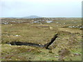 Peat Bank