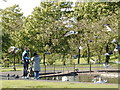 Feeding Swans (and gulls and pigeons)