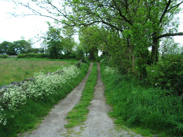 Footpath to Applebury Hill Farm