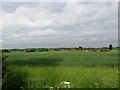 Farmland at Borley Green