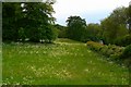 Meadow, Colesbourne, Gloucestershire