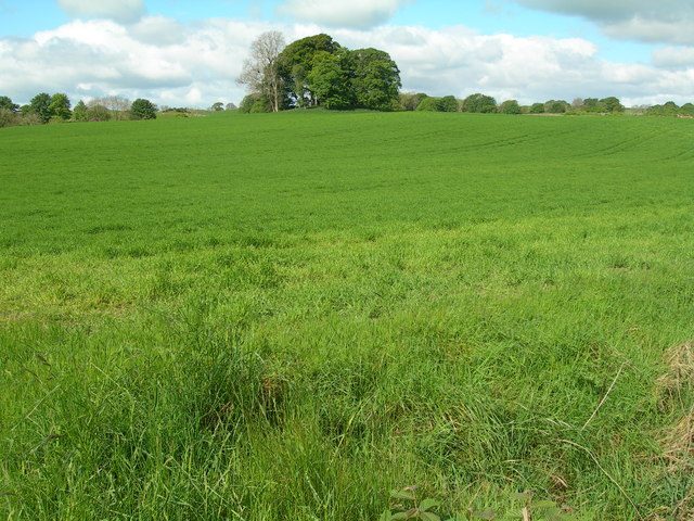 Farmland and site of cairn