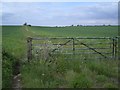 TL1678 : Farm Track West of Upton by Nigel Stickells