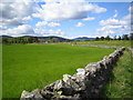 Fields near Blackness