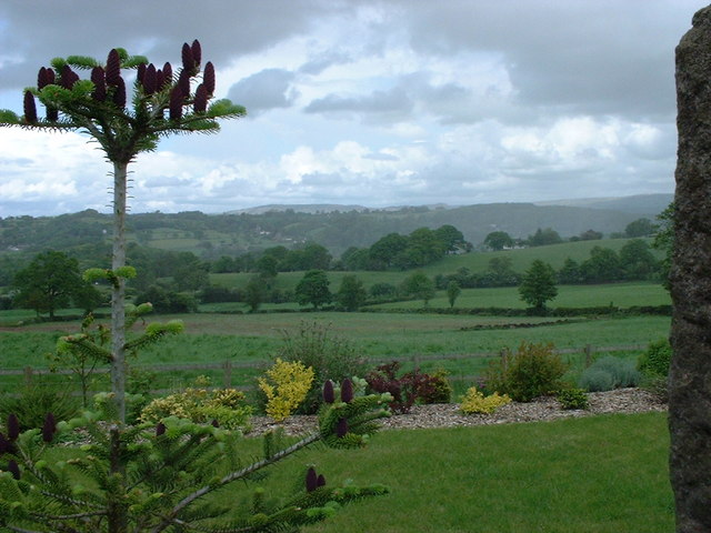 View from Cats Edge