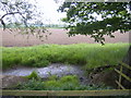 Fields through trees